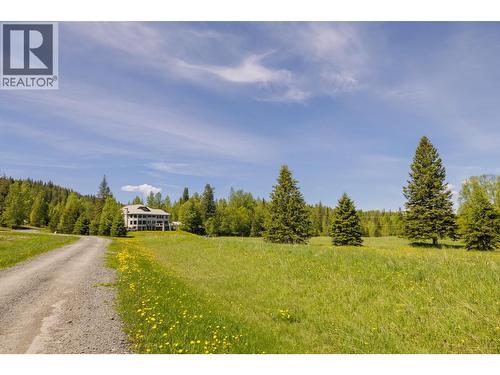 8985 Crescent Spur Road, Mcbride, BC - Outdoor With View