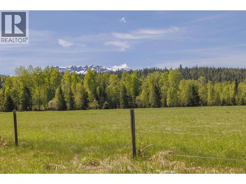 8985 Crescent Spur Road, Mcbride, BC - Outdoor With View