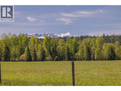 8985 Crescent Spur Road, Mcbride, BC - Outdoor With View