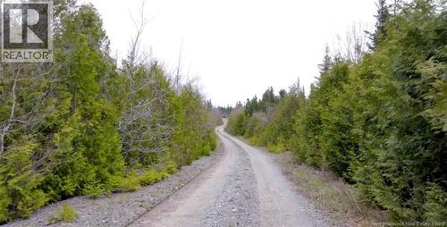 Driveway View - Downeast Drive, Rothesay, NB 