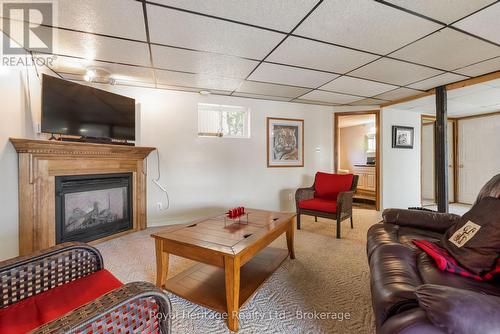 16 Fire Route 122, Trent Lakes, ON - Indoor Photo Showing Living Room With Fireplace