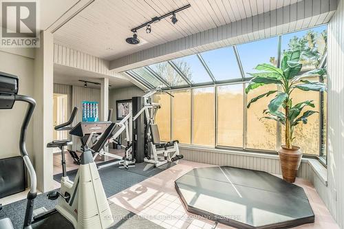 3 Mission Inn Grove, Ottawa, ON - Indoor Photo Showing Gym Room