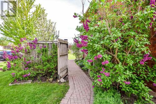 2 Hewitt Place, Barrie, ON - Outdoor