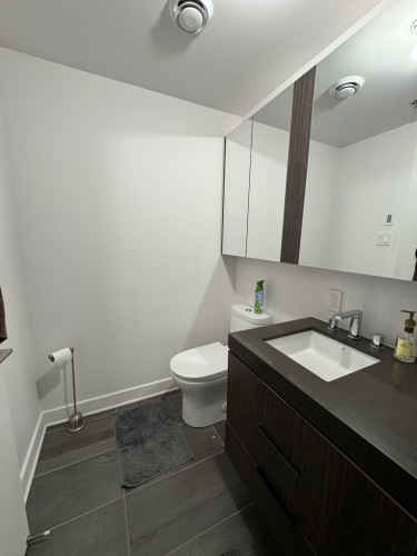 Salle de bains - 1259-101 Rue Peel, Montréal (Le Sud-Ouest), QC - Indoor Photo Showing Bathroom