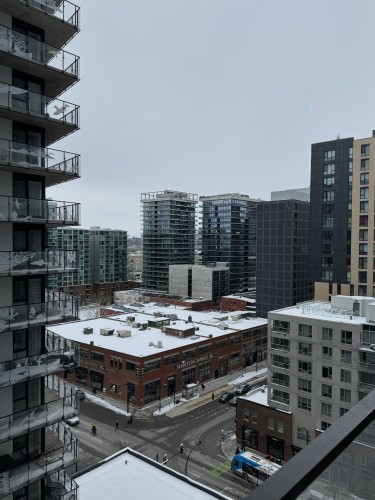 Vue - 1259-101 Rue Peel, Montréal (Le Sud-Ouest), QC - Outdoor With Balcony
