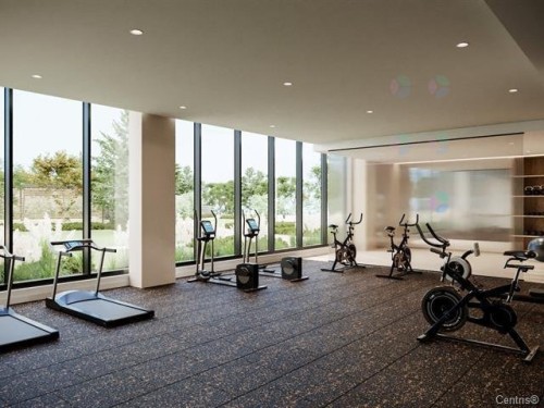Salle d'exercice - 412-399 Rue De La Rotonde, Montréal (Verdun/Île-Des-Soeurs), QC - Indoor Photo Showing Gym Room