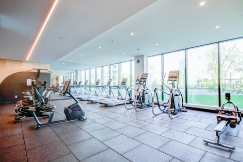 Salle d'exercice - 412-399 Rue De La Rotonde, Montréal (Verdun/Île-Des-Soeurs), QC - Indoor Photo Showing Gym Room