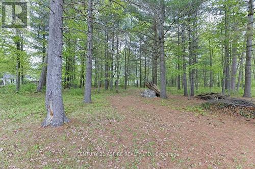 2889 Petawawa Boulevard, Petawawa, ON 