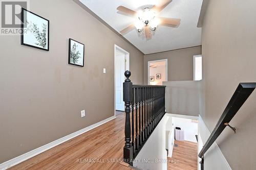647 Trailview Drive, Peterborough, ON - Indoor Photo Showing Other Room