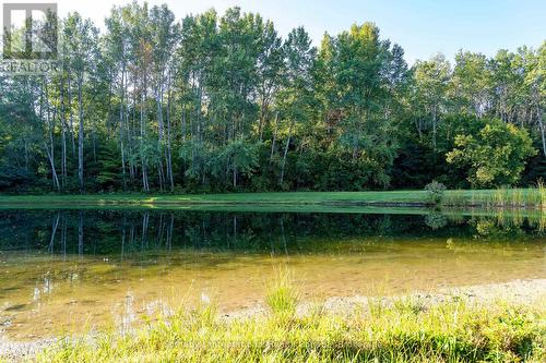 7781 Poplar Side Road, Clearview, ON - Outdoor