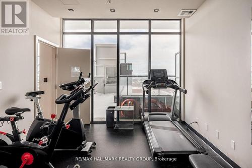 710 - 203 Catherine Street W, Ottawa, ON - Indoor Photo Showing Gym Room