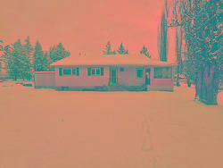 Undisclosed Address  Quesnel, BC V2J 2Z4