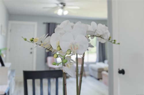 5148 Mary St, Port Alberni, BC - Indoor Photo Showing Other Room