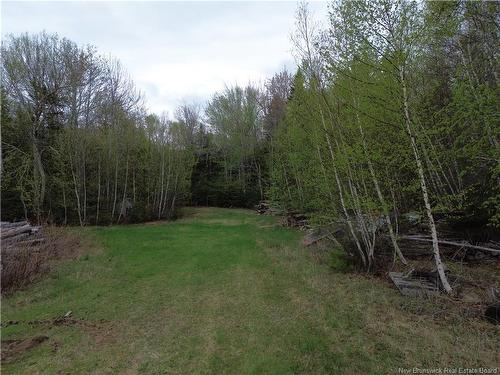 25-1 Route 134, Saint-Louis-De-Kent, NB 