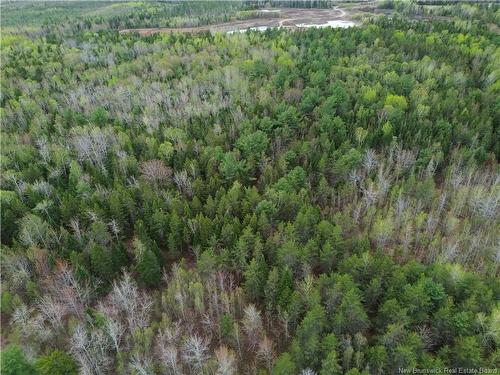 25-2 Route 134, Saint-Louis-De-Kent, NB 