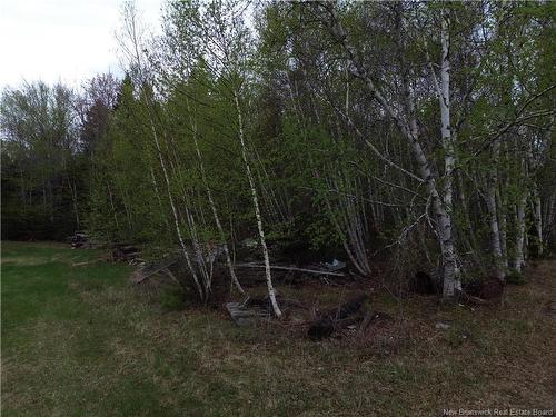 25-2 Route 134, Saint-Louis-De-Kent, NB 