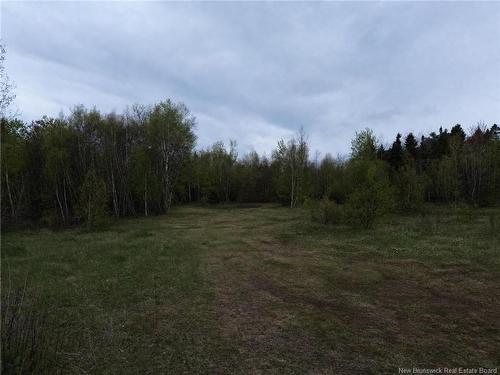 25-2 Route 134, Saint-Louis-De-Kent, NB 