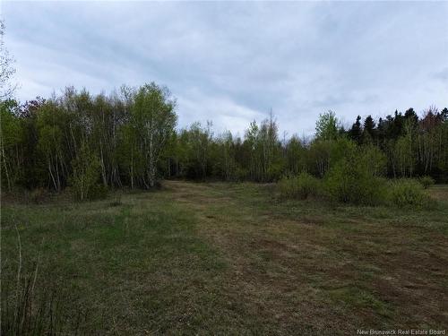 25-2 Route 134, Saint-Louis-De-Kent, NB 