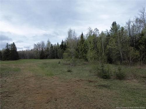 25-8 Route 134, Saint-Louis-De-Kent, NB 