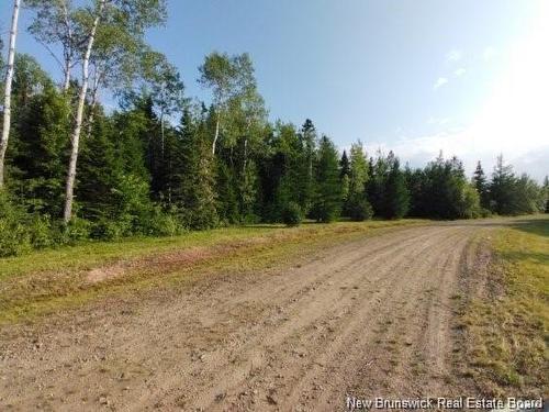 Lot-15-3 Route 134, Sainte-Anne-De-Kent, NB 