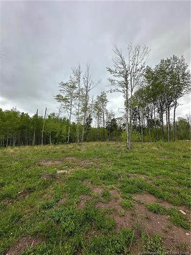 117 Alward Rd, Havelock, NB 