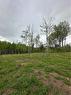 117 Alward Rd, Havelock, NB 