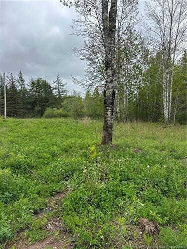 117 Alward Rd, Havelock, NB 