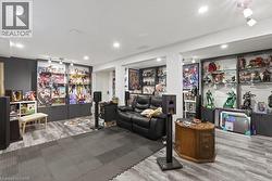 lower level media room - 