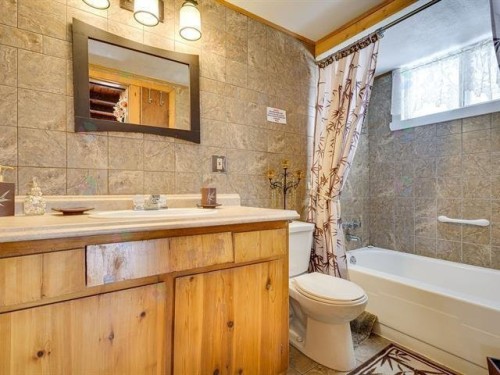 Bathroom - 330  - 330A Rue De L'Edelweiss, Sainte-Agathe-Des-Monts, QC - Indoor Photo Showing Bathroom