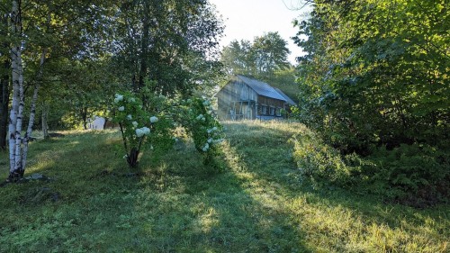 Cour - 219 Ch. De Ste-Marguerite, Sainte-Marguerite-Du-Lac-Masson, QC - Outdoor