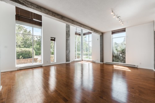 Living Room - Th123-210 Ch. Du Golf, Montréal (Verdun/Île-Des-Soeurs), QC - Indoor