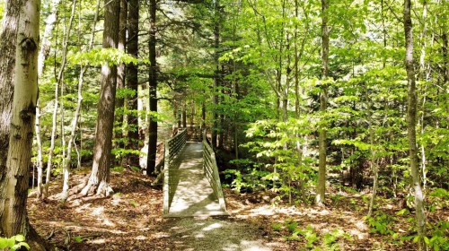 À proximité - 5010 Ch. Du Parc, Orford, QC - Outdoor