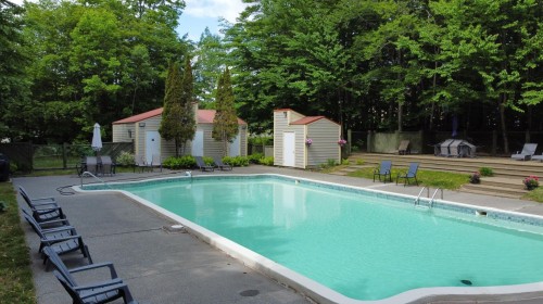Piscine - 5010 Ch. Du Parc, Orford, QC - Outdoor With In Ground Pool