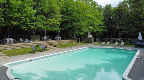 Piscine - 5010 Ch. Du Parc, Orford, QC - Outdoor With In Ground Pool With Backyard