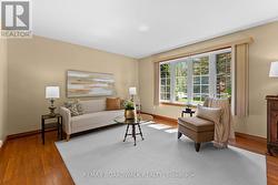 Abundance of natural light. - 