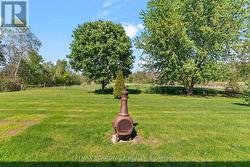 Green space as far as the eye can see... - 