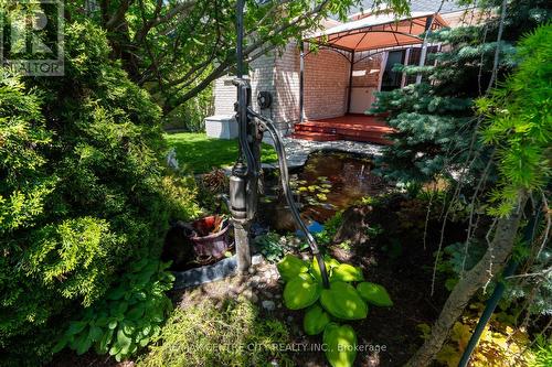 19 Hamilton Street, North Middlesex (Ailsa Craig), ON - Outdoor