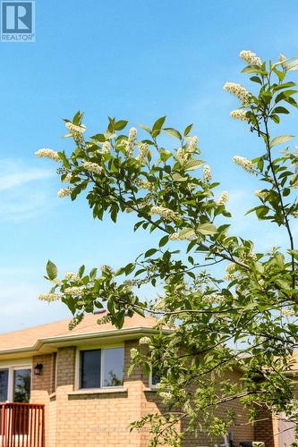 153 Livingstone Street W, Barrie, ON - Outdoor