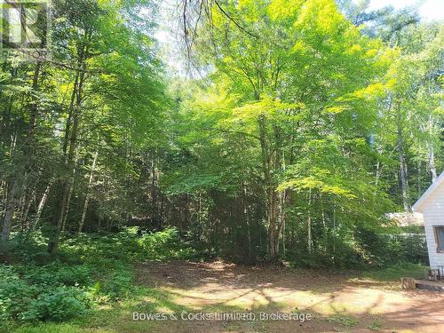 24 Robinson Road, Hastings Highlands (Monteagle Ward), ON 