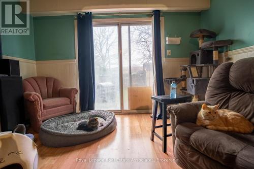 337 Hansen Road N, Brampton, ON - Indoor Photo Showing Living Room