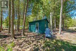 Bunkie - 