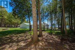 View from Bunkie - 