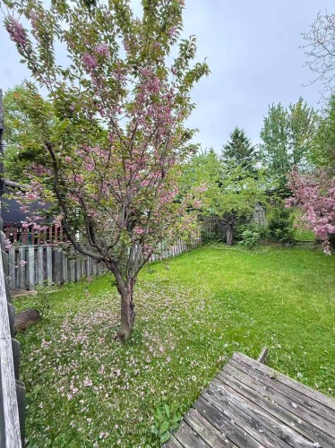 304 Charlton Avenue, Vaughan, ON - Outdoor