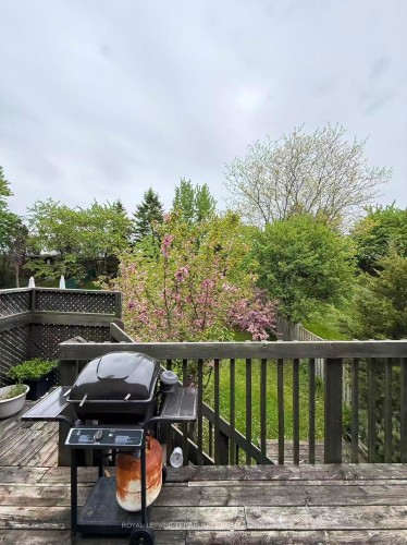 304 Charlton Avenue, Vaughan, ON - Outdoor