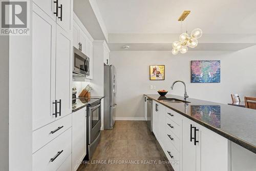 220 Pembina Private, Ottawa, ON - Indoor Photo Showing Kitchen With Upgraded Kitchen
