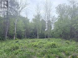 LOT 2 MUTUAL AVENUE Renfrew, ON K7V 3R4