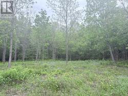 LOT 1 MUTUAL AVENUE Renfrew, ON K7V 3R4