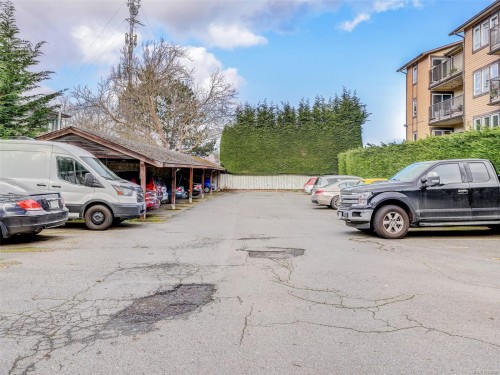 #406-3258 Alder St, Saanich, BC - Outdoor