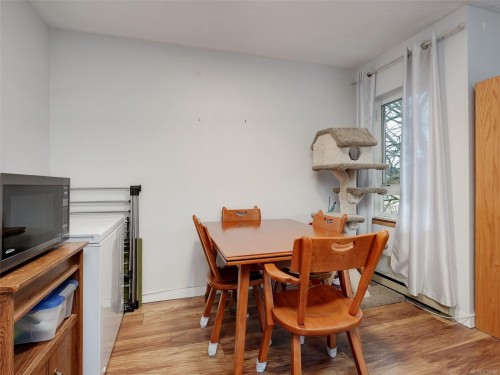 #406-3258 Alder St, Saanich, BC - Indoor