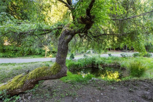 1352 Englishman River Rd, Errington, BC 